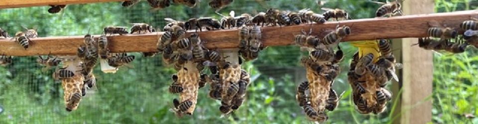 East Lancashire Beekeepers Association